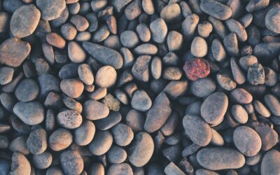 4 Tips for Identifying your Company “Rocks”, or Priorities