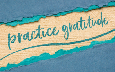 Do you have a Gratitude Mindset?